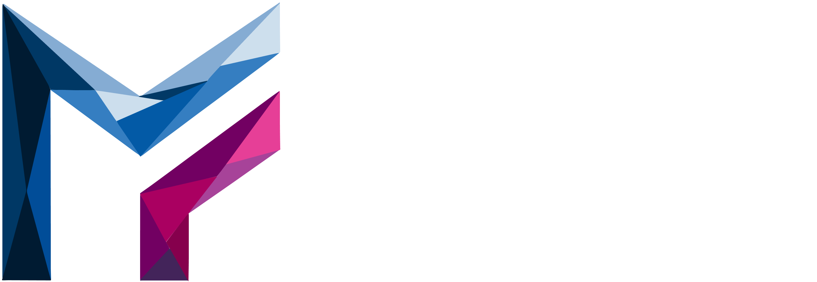 MF Data Solutions